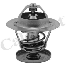 CALORSTAT BY VERNET Termosztát, hűtőfolyadék CALORSTAT by Vernet TH6526.88J vízhűtő