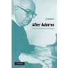Cambridge University Press After Adorno | Professor Tia DeNora