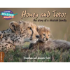 Cambridge University Press Cambridge Reading Adventures Honey and Toto: The Story of a Cheetah Family 1 Pathfinders | Jonathan And Angela Scott