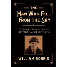 CamCat Books The Man Who Fell From the Sky egyéb e-könyv