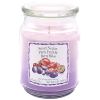 CANDLE LITE Nectar & Fruit & Berry 538 g