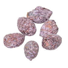  Cane bogyós termés falfestékes mauve 15dkg/csom dekorációs kellék