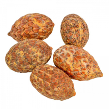  Cane fruit pálma mag falfestékes narancs 17dkg/csom dekorációs kellék