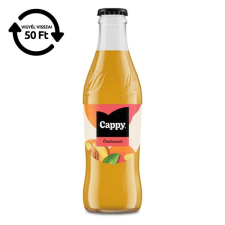 CAPPY Gyümölcslé cappy &#336;szibarack 40 üveges 0,25l drs 117707 üdítő, ásványviz, gyümölcslé