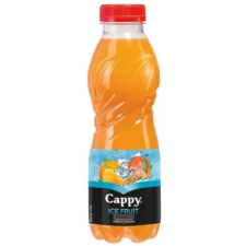 CAPPY Üdítőital szénsavmentes CAPPY Ice Fruit multivitamin 0,5L vitamin és táplálékkiegészítő