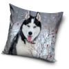 Carbotex Kutyás párna, díszpárna 40x40 cm