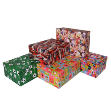 Cardex 32x23x12cm T4 vegyes mintás dísz/technikadoboz ajándéktasak