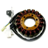 Carmo Stator - CARG4251 Carmo Elektronika Generátor alkatrészek