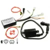 Carmo Unilli Eagle Xtreme 4CW-10 CDI gyújtásvezérlő egység Carmo Elektronika Gyújtások Gyújtáselektronikák (CDI)