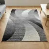  Carnaval collection szőnyeg 200 x 290 cm - Szürke hullámok 04802A