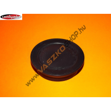 CASTEL GARDEN Hajtómű olaj dugasz Tuff Torq (187T0136300) barkácsgép tartozék