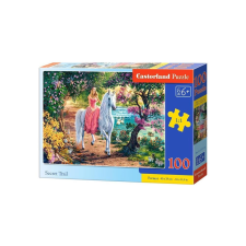Castorland 100 db-os puzzle - Titkos út (B-111114) puzzle, kirakós