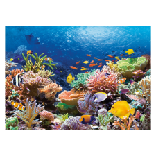 Castorland Korall zátony 1000 db-os (C-101511) puzzle, kirakós