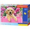Castorland Labrador Puppy in Pink Box 300 pcs Kirakós játék 300 db Állatvilág (030071)