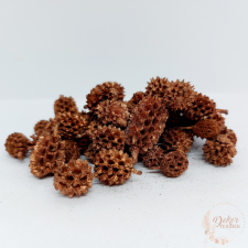  Casuarina - bronz dekorációs kellék