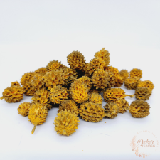  Casuarina - falfestékes narancs dekorációs kellék