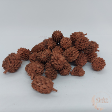  Casuarina - falfestékes terrakotta színű dekorációs kellék