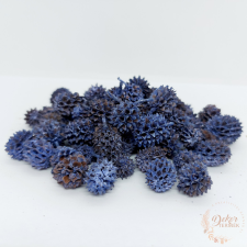  Casuarina - falfestékes very peri dekorációs kellék