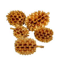  Casuarina szárított arany 17dkg/csom dekorációs kellék