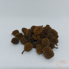  Casuarina - szárított sárga színű dekorációs kellék