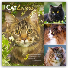  Cat Lovers - Katzenliebhaber 2026 - 16-Monatskalender naptár, kalendárium