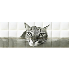 Cat nyomtatott műbőr falvédő tapéta, díszléc és más dekoráció