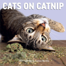 Cats on Catnip Wall Calendar 2025 – Workman Calendars naptár, kalendárium