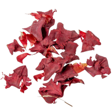  Cédrus rózsa szirom bordó 30dkg/csom dekorációs kellék