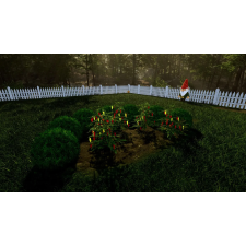 Cenega Garden Simulator, PlayStation 5, Konzol játékszoftver videójáték