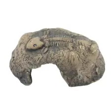Ceramic Nature | Foszilis bújó kő , barna színű - XS kisállatfelszerelés