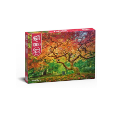 CherryPazzi 1000 db-os puzzle - Aterial Spray (30530) puzzle, kirakós