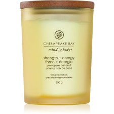 Chesapeake Bay Candle Mind & Body Strength & Energy illatgyertya 250 g gyertya