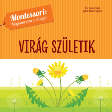 Chiara Piroddi - Virág születik - Montessori: Megismerem a világot egyéb könyv
