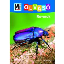 Christina Braun Rovarok - Mi Micsoda Olvasó – Christina Braun regény