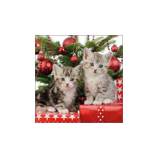 Christmas Kitten papírszalvéta 33x33cm, 20db-os papírárú, csomagoló és tárolóeszköz