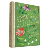 Chronicle Books How to Be a Wildflower | Katie Daisy