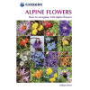 Cicerone Press Alpine Flowers Cicerone túrakalauz, útikönyv - angol