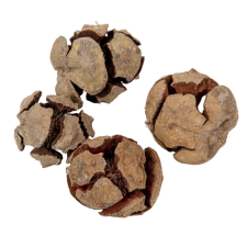  Ciprus termés natúr 22dkg/csom dekorációs kellék