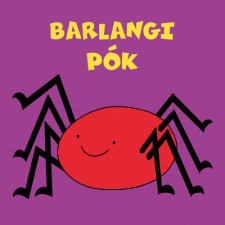 Citera Kft. Barlangi pók gyermek- és ifjúsági könyv
