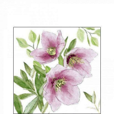 Classic helleborus papírszalvéta 25x25cm, 20db-os papírárú, csomagoló és tárolóeszköz