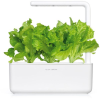 Click and Grow zöldsaláta kapszula magokkal és szubsztrátummal 9 db (SGR32X9) (SGR32X9)