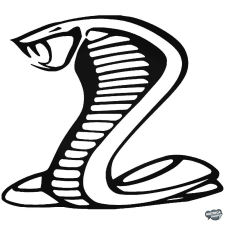  Cobra matrica matrica