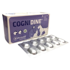  Cognidine tabletta kutyák és macskák részére 60 db vitamin, táplálékkiegészítő kutyáknak