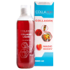 Collango Kollagen 10.000mg Liquid Hialuronsavval 500ml Collango