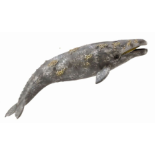 Collecta Figura, Szürke bálna játékfigura