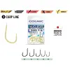 Colmic NUCLEAR DK800 GOLD #12