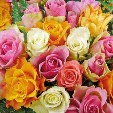 Colorful Roses papírszalvéta 33x33cm, 20db-os papírárú, csomagoló és tárolóeszköz
