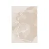  Conceptum Hypnose Carpet (160 x 230) Cream Infkece19