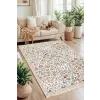  Conceptum Hypnose Carpet (50 x 80) Multicolor 244