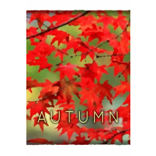 Conglomerate 5 Autumn (digitális licenc) videójáték